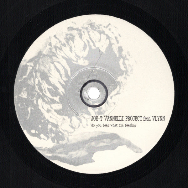Est-ce que tu ressens ce que je ressens ? Projet Joe T. Vannelli, Vlynn