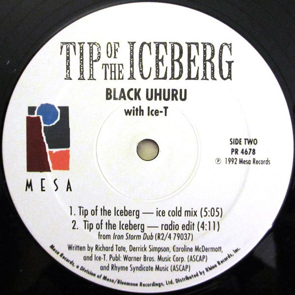 La pointe de l'iceberg 2 Uhuru noir, Ice-T