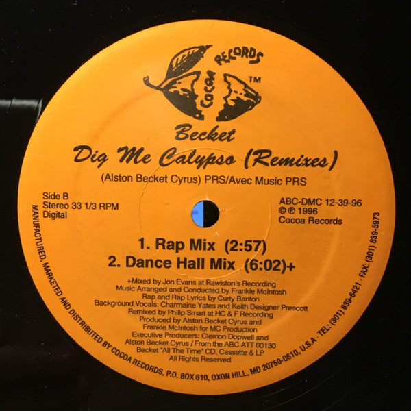 Dig Me Calypso 12" Remixes | Rectangle Triangle  