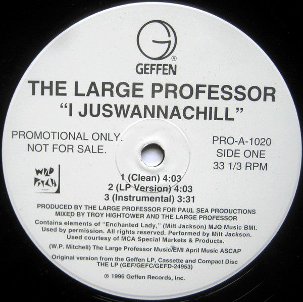 I Juswannachill Large Professor
