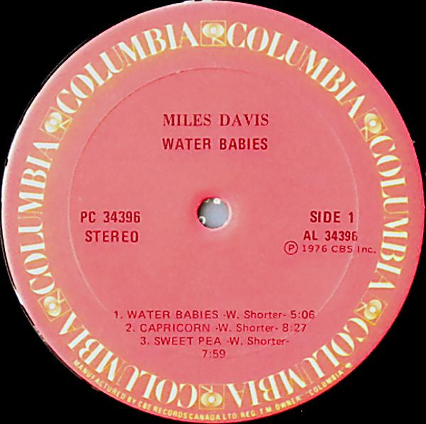Water Babies | Rectangle Triangle  