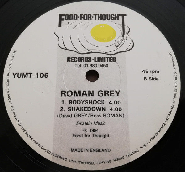 Shakedown (Dance Mix) Roman Grey