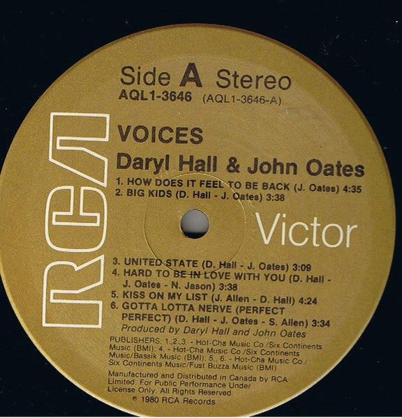 Voices Daryl Hall & John Oates