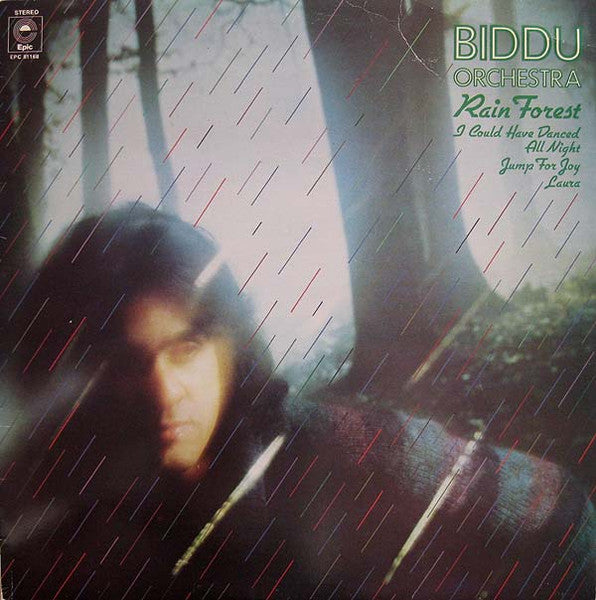Rain Forest | Rectangle Triangle