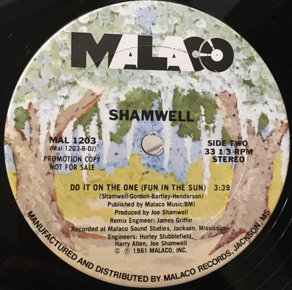 Do It On The One (Fun In The Sun) Joe Shamwell