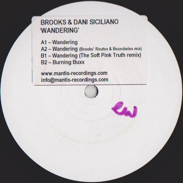 Wandering Brooks,Dani Siciliano
