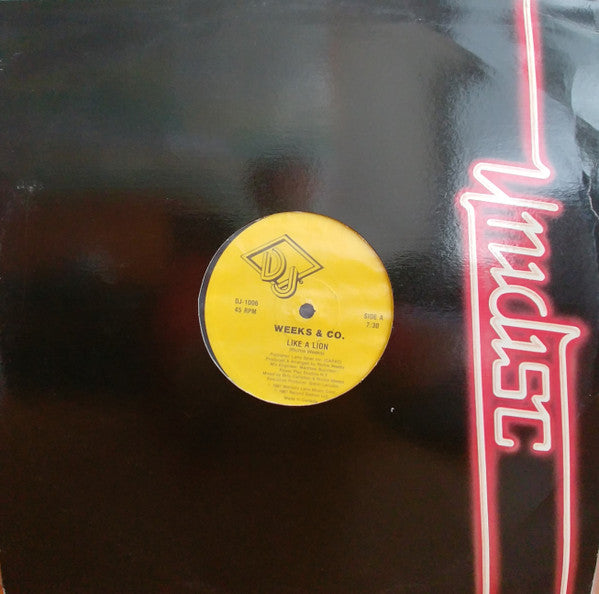 Like A Lion | Rectangle Triangle