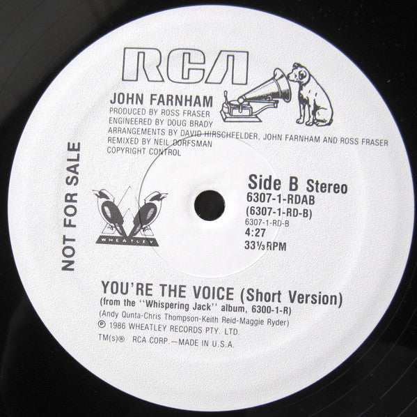You're The Voice | Rectangle Triangle