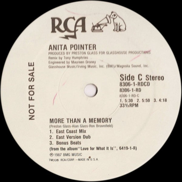 More Than A Memory 2 Anita Pointer