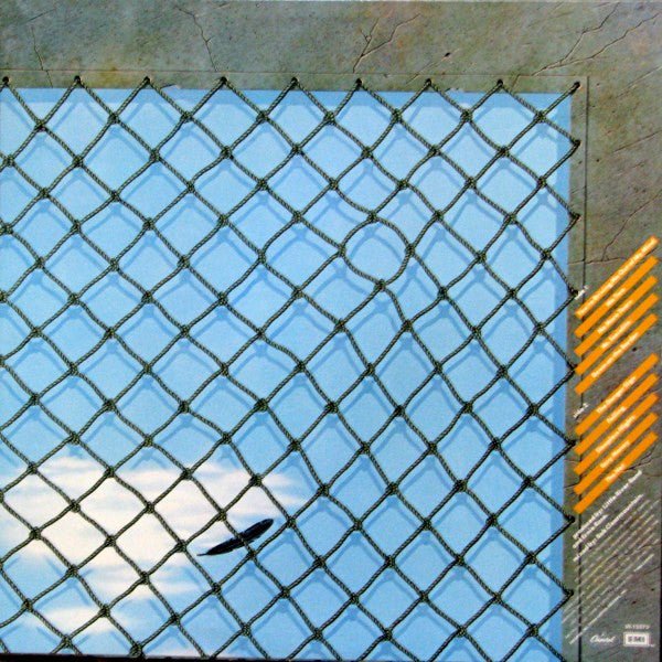 The Net | Rectangle Triangle  