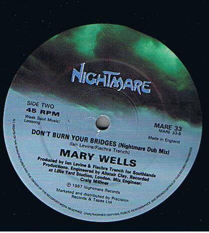 Ne brûlez pas vos ponts Marie Wells