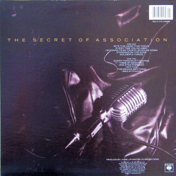 The Secret Of Association 2 Paul Young