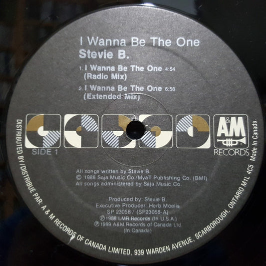 I Wanna Be The One | Rectangle Triangle  
