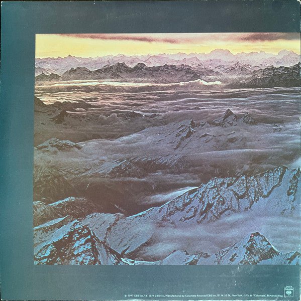 Moonflower | Rectangle Triangle  