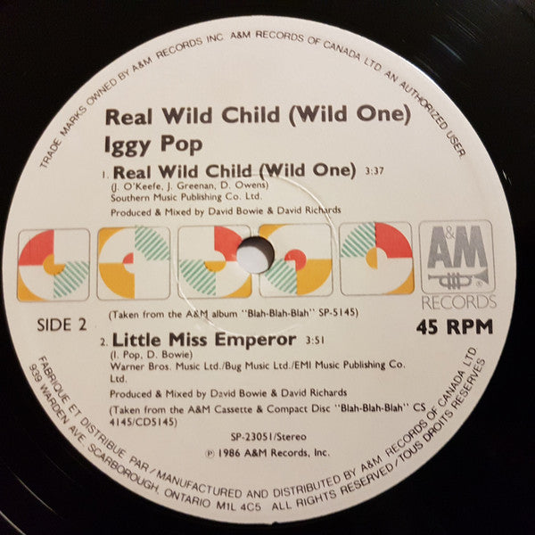 Real Wild Child (Wild One) | Rectangle Triangle