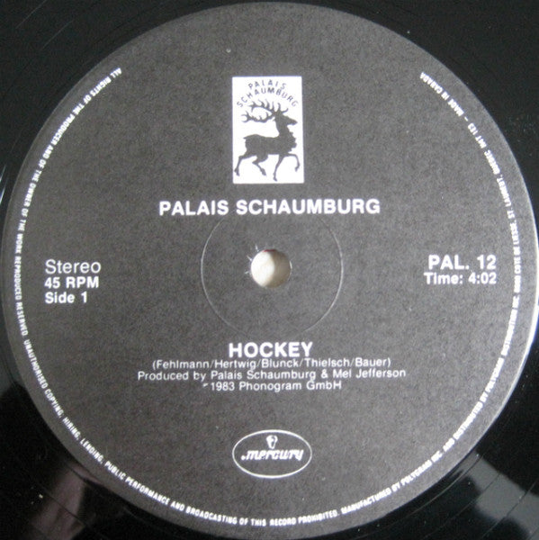 Hockey Palais Schaumburg