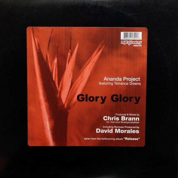 Glory Glory | Rectangle Triangle  