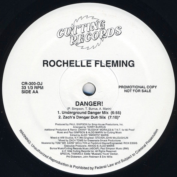 Danger! 3 Rochelle Fleming