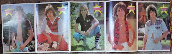 Wouldn't You Like It? Bay City Rollers