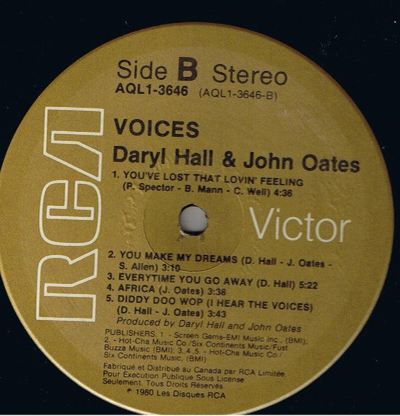Voices Daryl Hall & John Oates