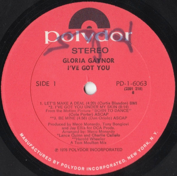 I've Got You 2 Gloria Gaynor