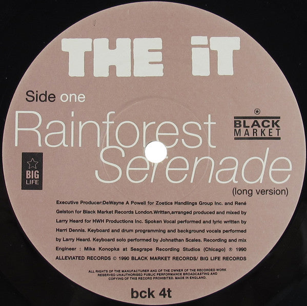 Rainforest Serenade | Rectangle Triangle  