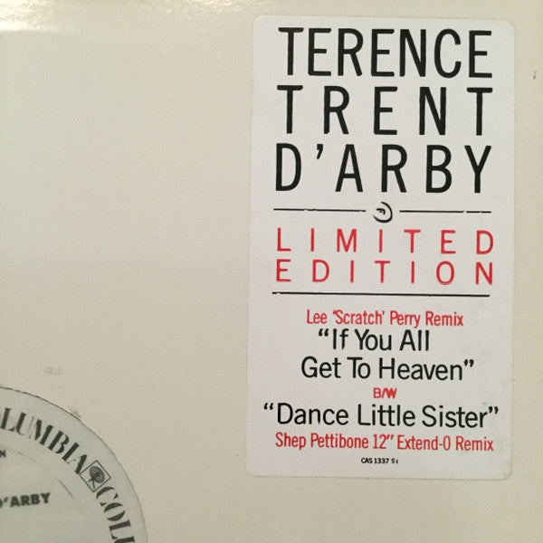 If You All Get To Heaven Terence Trent D'Arby