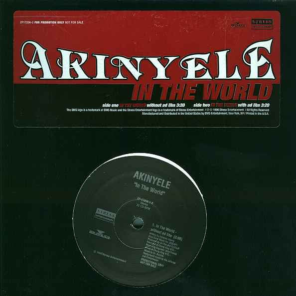 In The World Akinyele