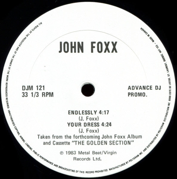 Sans fin John Foxx