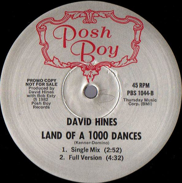 Le pays des 1000 danses David Hines