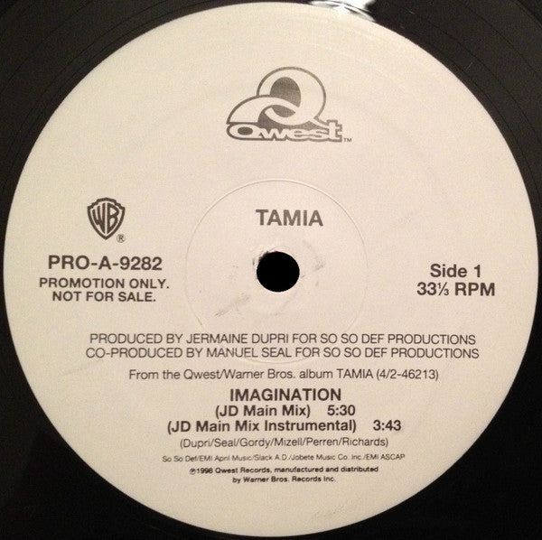 Imagination 4 Tamia