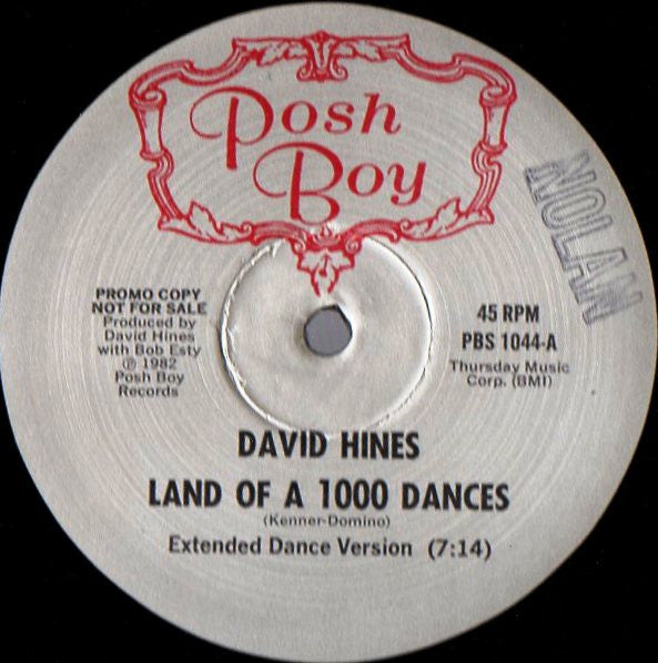 Le pays des 1000 danses David Hines