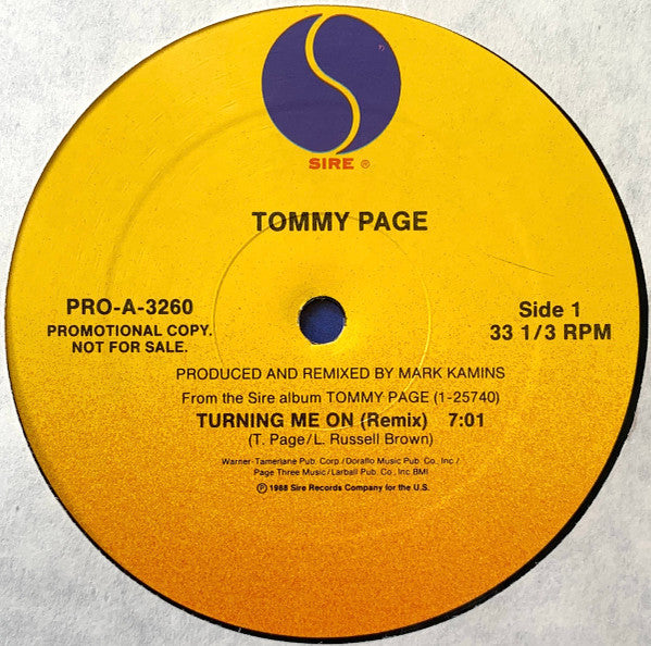 Turning Me On (Remix) Tommy Page