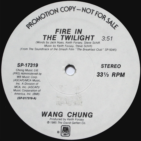 Fire In The Twilight / Didn't I Tell You Wang Chung,Joyce Kennedy