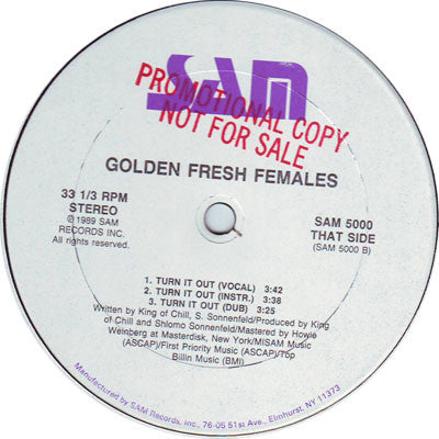 Golden Fresh Females / Turn It Out | Rectangle Triangle  