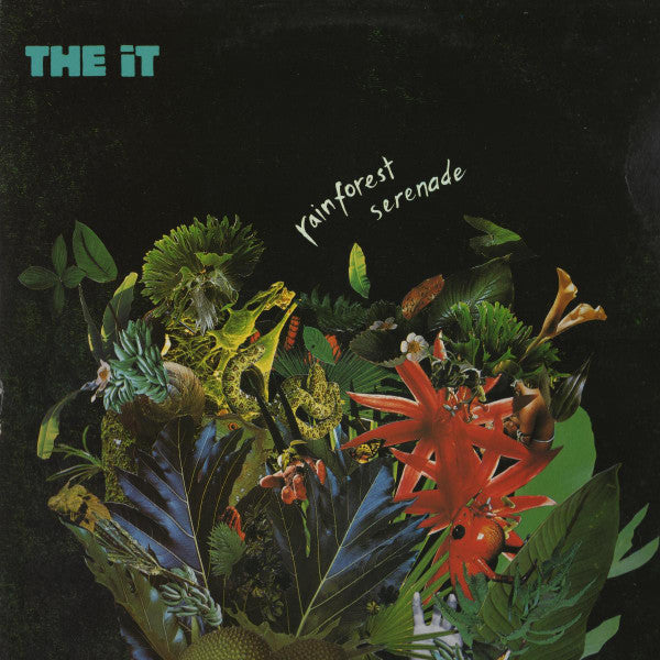 Rainforest Serenade | Rectangle Triangle  