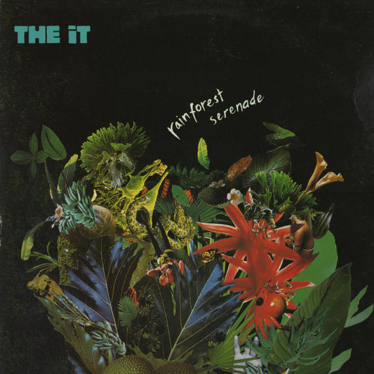 Rainforest Serenade | Rectangle Triangle  