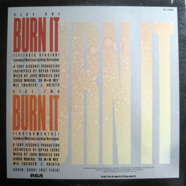 Burn It Modern Romance