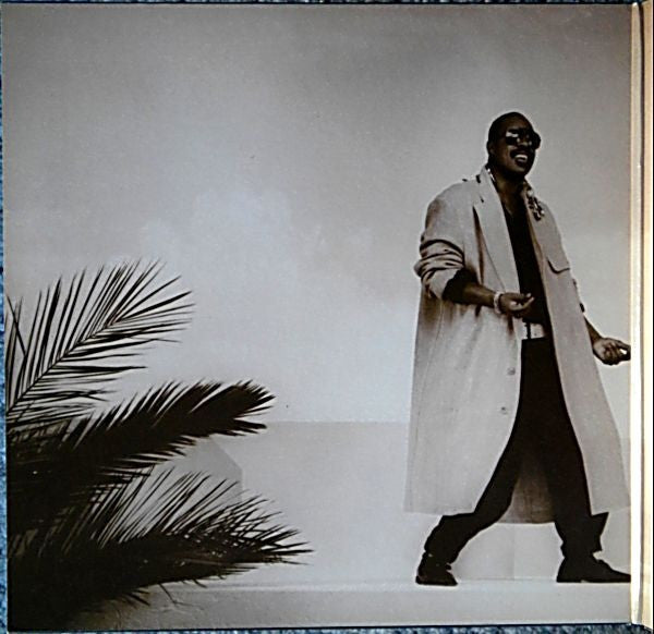In Square Circle Stevie Wonder
