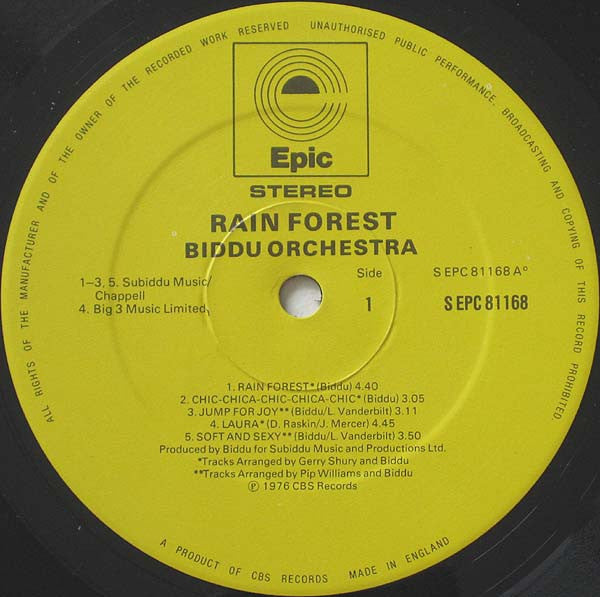 Rain Forest | Rectangle Triangle