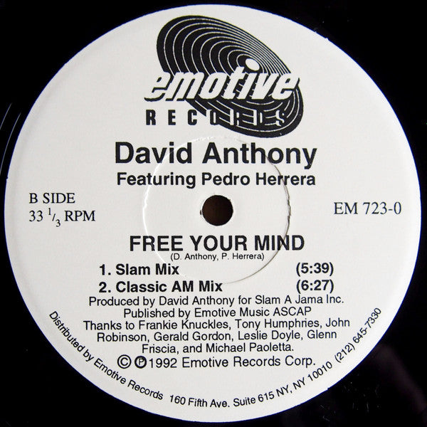 Free Your Mind 3 David Anthony,Pedro Herrera