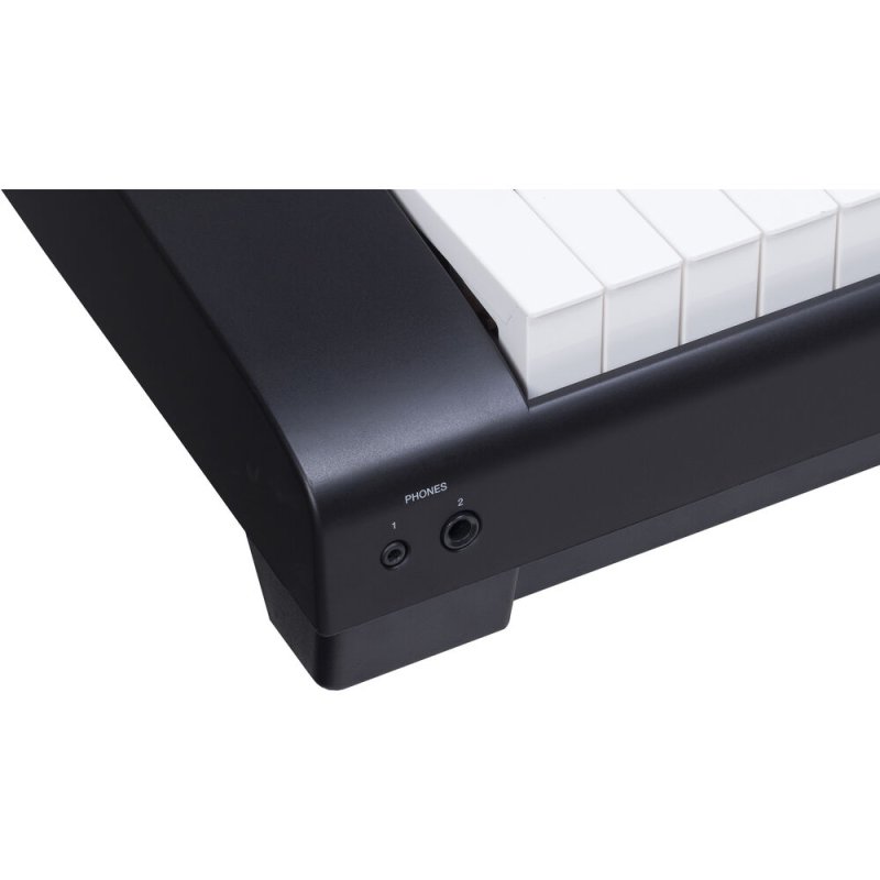 Medeli SP201P-BK 88-Key Weighted Portable Digital Piano with USB Midi and Audio, Black 