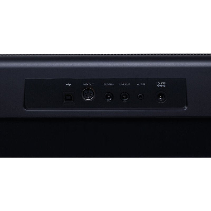 Medeli SP201P-BK 88-Key Weighted Portable Digital Piano with USB Midi and Audio, Black 