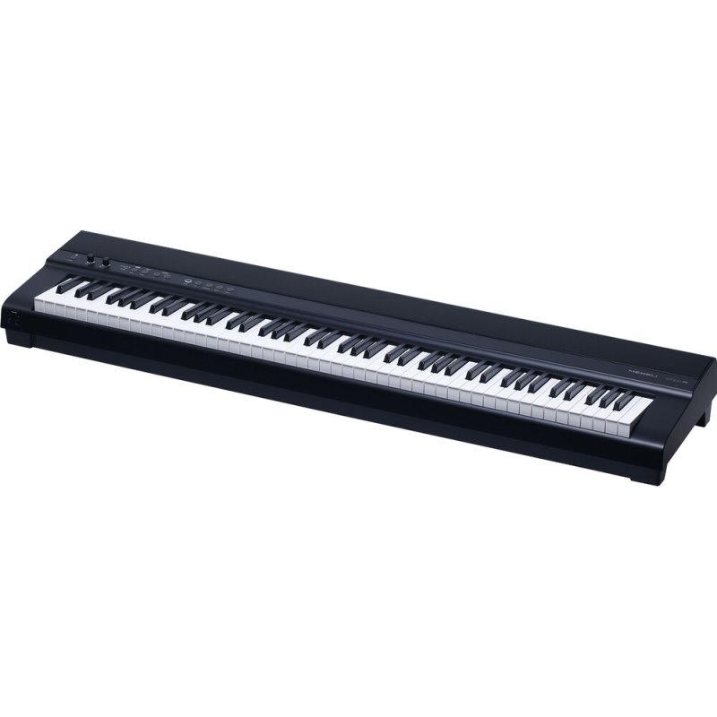 Medeli SP201P-BK 88-Key Weighted Portable Digital Piano with USB Midi and Audio, Black 
