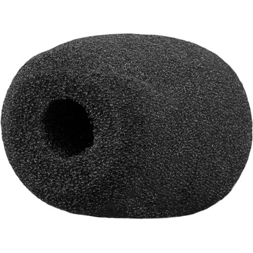 Audix WSHT-2PK Ball-Shaped Windscreen for HT2 Mic, Black (2-Pack) 