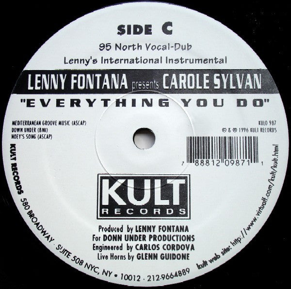 Everything You Do Lenny Fontana,Carole Sylvan