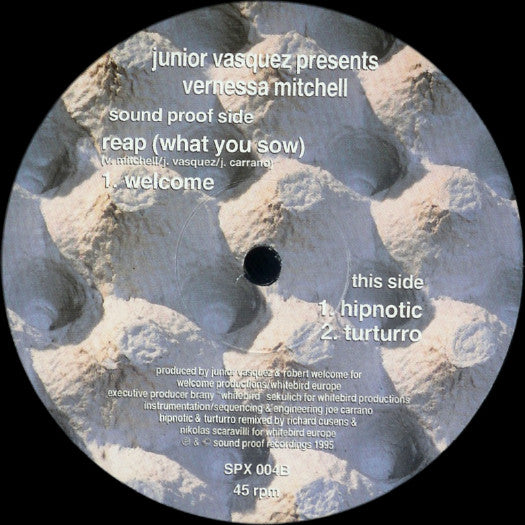 Reap (What You Sow) Junior Vasquez,Vernessa Mitchell