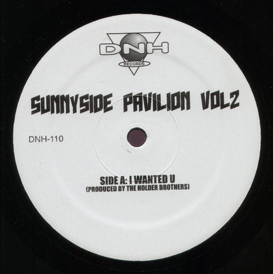 Sunnyside Pavilion Vol 2 | Rectangle Triangle