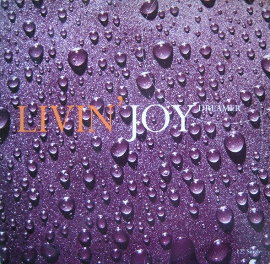 Dreamer Livin' Joy