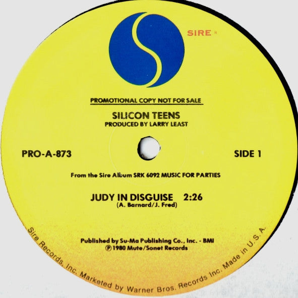 Judy In Disguise Silicon Teens